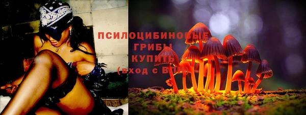 прущий лед Покров